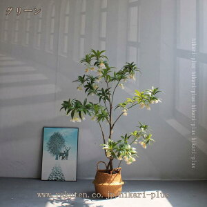 tFCNO[ A  ^ ͂ȂO[ lHϗtA { lHA ϗt CeA  뉀 iX K[f x_ ze ڊ X  