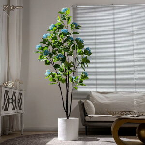 tFCNO[ CeAO[ A { ͂Ȃ ^Ηt lHt bsv k ins  CeA x_ K[f rO gC  z[ ze