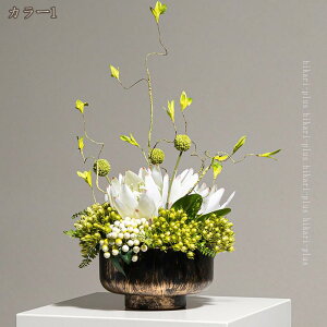 tFCNO[ a_ CeA    X ͂Ȃ V ϑސF ό RȎp Cɖ zj Vzj tFCNt[  ԃAW fBXvC 