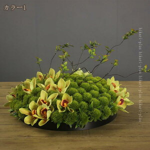  tFCNt[ ^ ~` DIY Xg zep Z^[s[X ~ ]e[up  CeA A t[AW ƒp Xܗp f[ fBXvC 