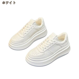 fB[X Xj[J[ tbg V[Y C y ₷ t@bV tH  X|[cV[Y ʊw ʋ JWA ɂ  Vv ʊw wZ ₷ 20