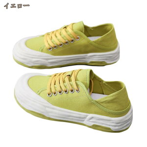 Xj[J[ fB[X JWAV[Y y ʋC EH[LOV[Y JWA [XAbv X|[c V[Y wlC tbgV[Y t@bV ʊw ʋ 풅p 