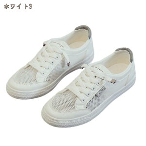 Xj[J[ fB[X [Jbg [XAbv JWAV[Y jOV[Y Xb| ₷ ɂ ~ ʋC 킢  ʋ Z w ʊw