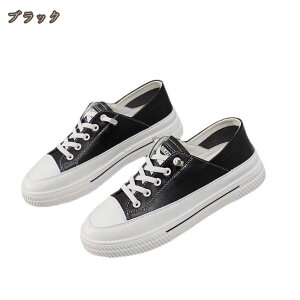 Xj[J[ fB[X [Jbg   킢 ₷ Vv y Xj[J[ JWAV[Y C r tbgV[Y JWA Ȃ h  킢