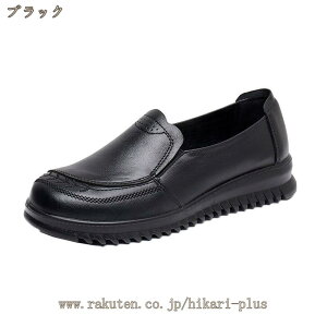 pvX fB[X [t@[ EhgD [t@[pvX ɂȂ [q[  ꂢ 킢 JWA ItBX ʋ ʊw q wC  _炩 ₷ h