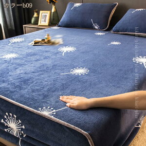 {bNXV[c VO H~p }bgXJo[ tl }CNt@Co[  g ΍ ыʂȂ ӂӂ h_j R ÓdCh~  xbhV[c }bgXJo