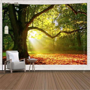 ^yXg[ z|X^[ Ǌ| Ǐ t@ubN  J[e pi  EH[A[g Mtg ̃xbhTCh ̐Q̔zu EH[fR[V 