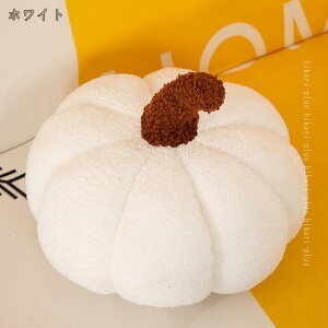 NbV  ʂ ڂ  Z HX nEB Q CeA a Mtg ʂ A{Jh  ʂݖ  _炩 p[eB[ Mtg\