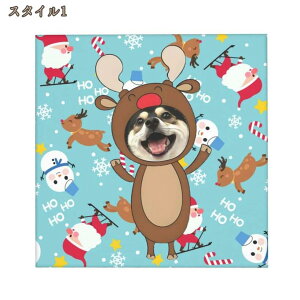 k A[gpl |  CeA G | Vv Ǌ| | X  |  rO | Lʐ^̃JX^}CY [X̓hXAbv NX}X Ⴞ܃p^[ LbY[ 