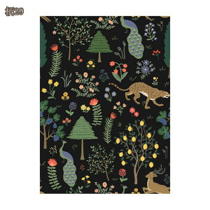 ǎ ̂t k ԗt    t[ OK \ւ B ډB CV[ DIY R LYɋ  gC Lb`  Ȃ tH[V[g hikari-plus