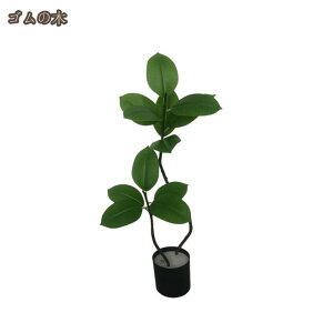 lHϗtA k tFCNO[ ^ lHA  CeA  A ϗtA tFCN p {̂悤 A O[ rO ItBX Xܗp i ƒ   