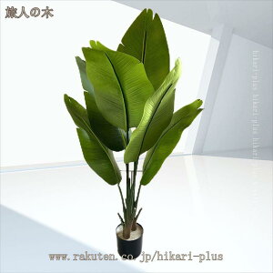 lHϗtA ^  CeAG EFfBOZ^[s[X tFCNO[ j JXj ̓ bsv ₷ O ItBX {I  ʏ   hA 