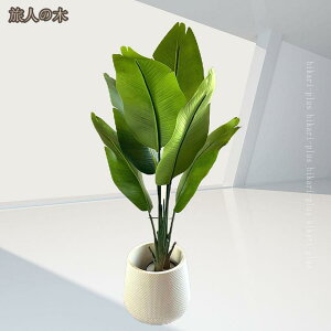 ϗtA tFCNO[ ^ A  v[g CeA lHϗtA p Bep   A j lHΐA ȒP QȂ H 䏊 Lb