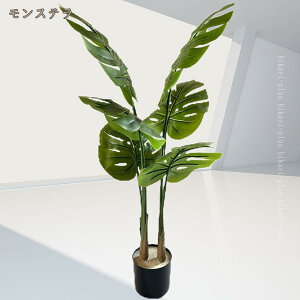 ^tFCNO[ lHϗtA  k CeA A |bgt rO ItBX X  tFCNvg  GgX  z[ j JXj ̓ 