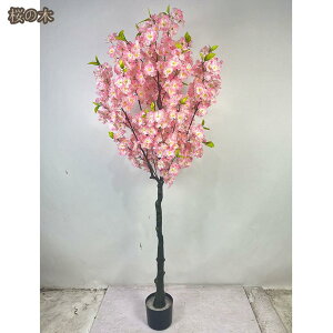 lHϗtA tFCNO[ ^ Ύ ze̕i ŐU̐A lH   z[ x_ rO  AȊO sv Q̐SzȂ 邭u₩