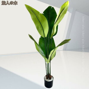 tFCNO[ A lHt ^ ͂ȂO[ lHϗtA { ϗtA lHA ϗt Q쏜sv Be  a ֏ A sv  