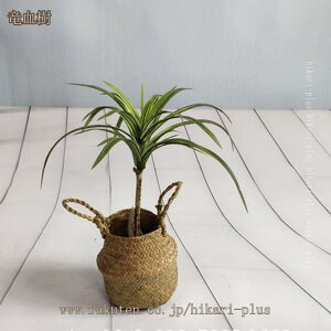 lH~ lHA ϗtA  Ή ^ A tFCNO[ tFCNc[ z[ГW  bsv ͂ȂO[  LO  Mtg ItBXp r