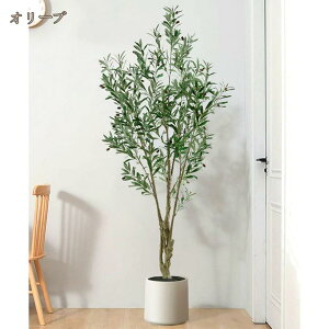 ^ϗtA tFCNc[ tFCNO[ lHϗtA ^ sṽz[ Q̐SzȂ ȒPb炸 ȒP A  ցELb`EItBXEx_E