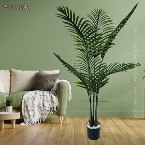 lHϗtA tFCNO[ ϗA  X i ƒ    ^ j JXj ̓ ȒP QȂ er̉ ItBXXy[X EWGA 