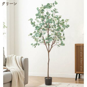 ϗtA tFCNO[ [J A ^ lHϗt A A ͂Ȃ tFCNA lHϗt CeA ȒP sv Q̐SzȂ   lH p 