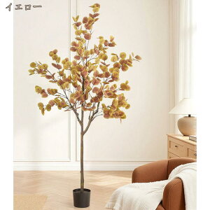 ϗtA tFCNO[ [J A ^ lHϗt A A ͂Ȃ tFCNA lHϗt CeA ȒP sv Q̐SzȂ   lH p 