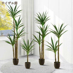 lHϗtA tFCNO[ ^  k lH MѐA p ϗtA tFCN lH A A  CeA X c ItBX  GgX Ή E