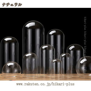 h[Jo[ i KXh[ ؐx[Xt WP[X hoJo[ RNV zr[ tBMA  I Cxg NbV NAKX fBXvCP[X hikari-plus