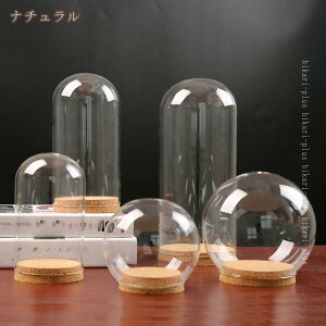  KXh[ ~ ی 360xӏ܉ 茩  fR[V RN^[ACe[ h[Jo[ W قh~ V[P[X v[g NAh[ hikari-plu