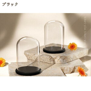 KXh[ ~  x̍ y RNVP[X fXNgbv ~jԑ tBMA 悢 i fBXvCP[X KXJo[ [P[X Mtg hikari-plus