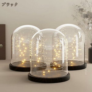 KXh[ ~ fBXvCP[X   vU[uht[ ho ؎x[X KXJo[ [P[X iωԕr i fBXvCP[X ANZT[ hikari-plus