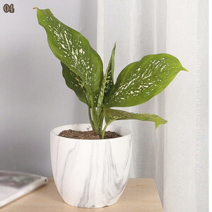 Aؔ 픫   󂯎Mt t F  v^[ A k  CeA   ϗtA |pi J[ O[Yh |bg v^[ ^  󂯎Mt 