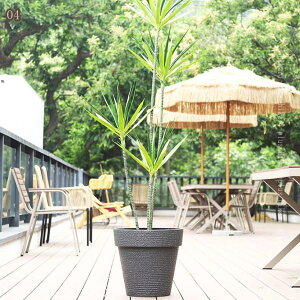 Aؔ   󂯎Mt ϗtA ~`  W t v^[ 5 Vv O[ ȃCeA v^[ A T{e c|bg t[|bg 