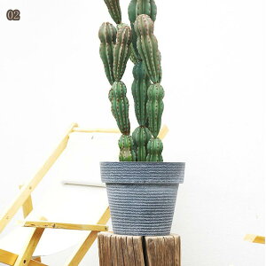 Aؔ   󂯎Mt ϗtA ~`  W t v^[ 5 Vv O[ ȃCeA v^[ A T{e c|bg t[|bg 