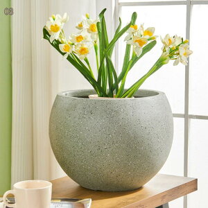 Aؔ Zg  󂯎MȂ ϗtA ~`  RN[g t v^[ 5 Vv O[ Zg ꌊ Mt Op Aؔ  Zg|