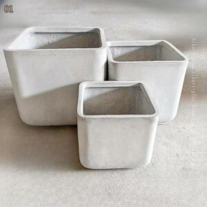 Aؔ 픫 v^[ 5 󂯎Mt t    A CeA  O 8 픫 ̒ɔrt ʋC悭 a21CM  zCg Zg hikari-plus