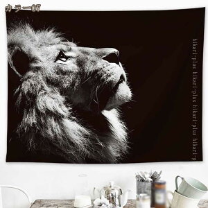 ^yXg[ CeA  k t JtF CeA 傫 ډB 킢 t@ubN |X^[  e[uNX \t@[Jo[ @\Ǌ| ͗lւ  z[