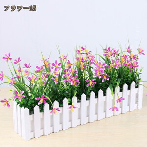  CeA A  ԑ VNt[ u[P j  p z[ 뉀 a v[g VN AWTCt[ EFfBOfR[V lHϗtA