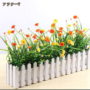  CeA A  ԑ VNt[ u[P j  p z[ 뉀 a v[g VN AWTCt[ EFfBOfR[V lHϗtA