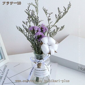 ͂Ȃ  CeA  ԕrt p  CeA  tFCNO[ lHϗtA EGfBO 蕨 v[g  tFCNO[ u Ђ܂