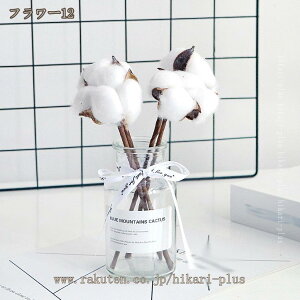 ͂Ȃ  CeA  ԕrt p  CeA  tFCNO[ lHϗtA EGfBO 蕨 v[g  tFCNO[ u Ђ܂