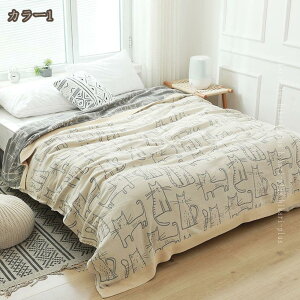 K[[Pbg _u 5d K[[ 100 Ƃ낯 | ^IPbg ې􂢉\ ʋC z z  uPbg Q  I[V[Y ӂ v[g  s i`