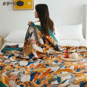 K[[Pbg VO VR100% 5dD yĒʋC┧G肪悢 ӂ z ĉ K ېOK o[Vu Q K[[ VOK[[ LgPbg y y  tėp