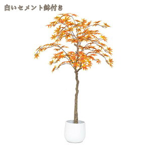 gt lHϗtA ^ tFCNO[ Ԏd؂ ItBXΉ Xܑ lH RŃA i`ȕ͋C lHϗt _ȑ lH  rO[ ze tF