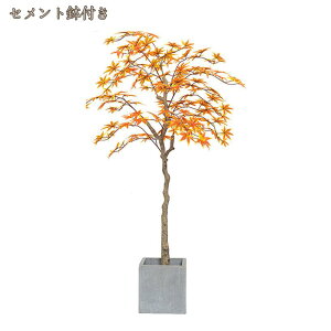 gt lHϗtA ^ tFCNO[ Ԏd؂ ItBXΉ Xܑ lH RŃA i`ȕ͋C lHϗt _ȑ lH  rO[ ze tF