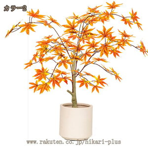 tFCNO[ ԃie 90cm lHϗtA  CeA ItBX rO[ z[ X Q ׍HJ  p[eB[ { ډB p ȒP 