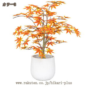 tFCNO[ ԃie 90cm lHϗtA  CeA ItBX rO[ z[ X Q ׍HJ  p[eB[ { ډB p ȒP 