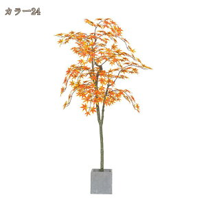 gt tFCNO[ lHϗtA H̑ 200cm ^ lHϗt ItBXΉ Xܑ lH RŃA ȃ ȒP sv Q쏜sv ͂Ȃ O ItBX