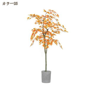 gt tFCNO[ lHϗtA H̑ 200cm ^ lHϗt ItBXΉ Xܑ lH RŃA ȃ ȒP sv Q쏜sv ͂Ȃ O ItBX