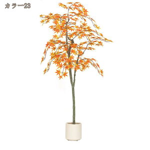 gt tFCNO[ lHϗtA H̑ 200cm ^ lHϗt ItBXΉ Xܑ lH RŃA ȃ ȒP sv Q쏜sv ͂Ȃ O ItBX