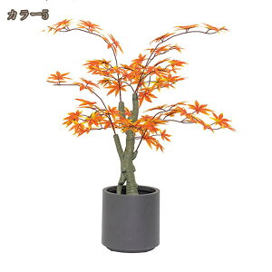 gt tFCNO[ lHϗtA H̑ 100cm ^ lHϗt ItBXΉ Xܑ lH RŃA ȃ ȒP sv Q쏜sv ͂Ȃ O ItBX